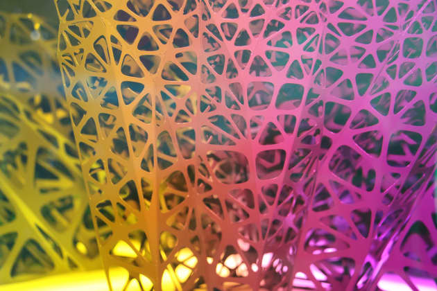PolyForm