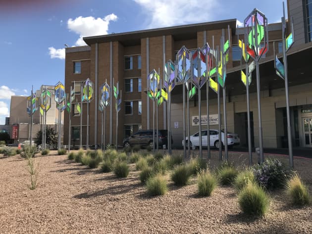 Illuminated Community Grove