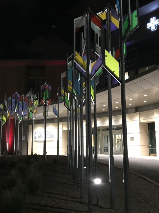 Illuminated Community Grove