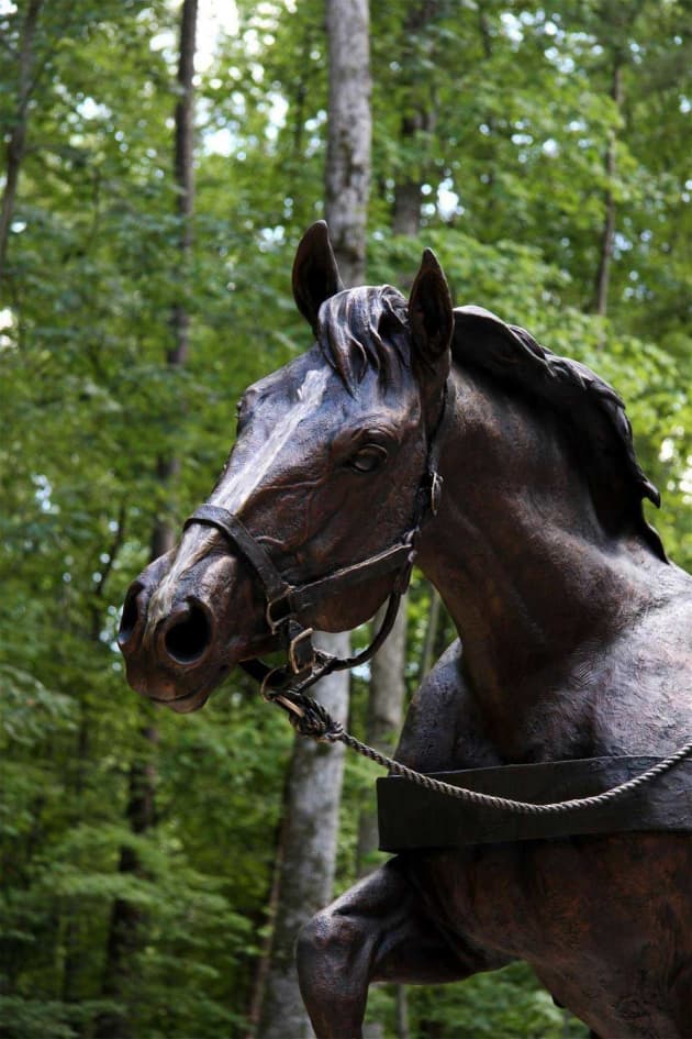 Staff Sergeant Reckless
