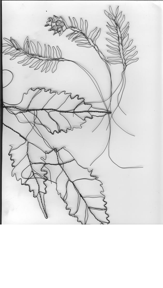 Zengo Restaurant, Wire Wall Art Mural