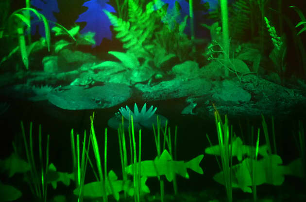 Light Pond and The Secret Garden