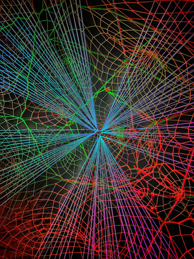 Neuro Net