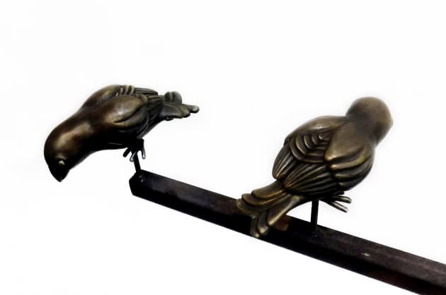 Birdie Umwelt
