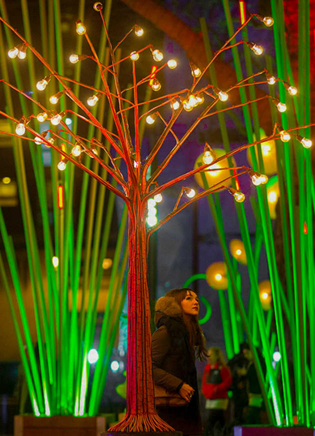 Garden of Light