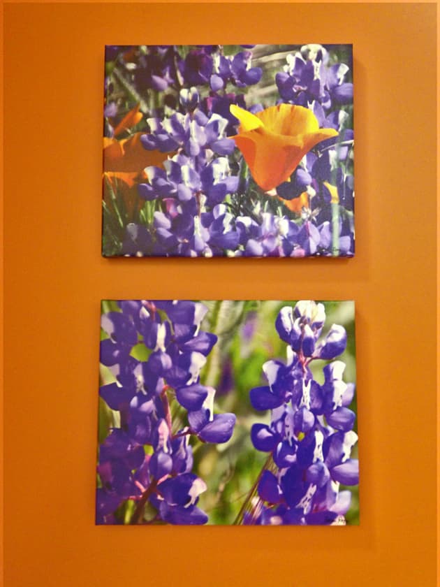 Kaiser Permanente Photography Installation