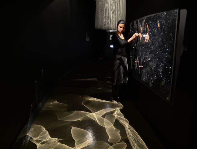 Interactive Magnetic Wall Reflector