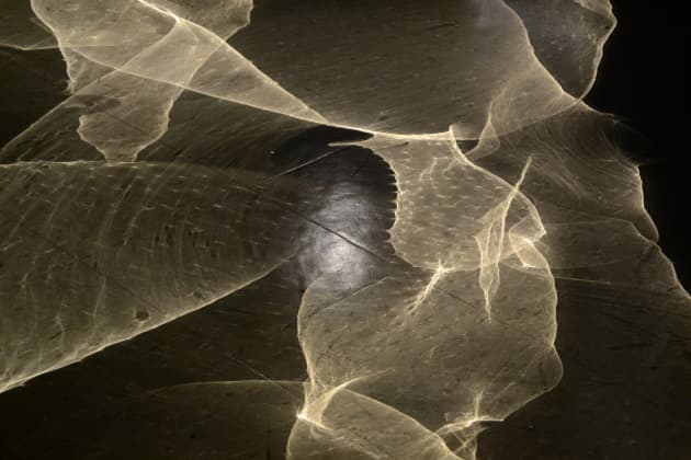 Interactive Magnetic Wall Reflector