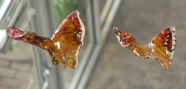 The Butterfly Effect