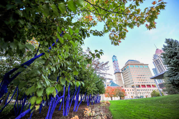 The Blue Trees