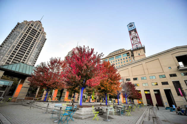 The Blue Trees