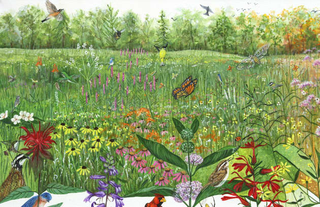 Meadow High Resolution Print