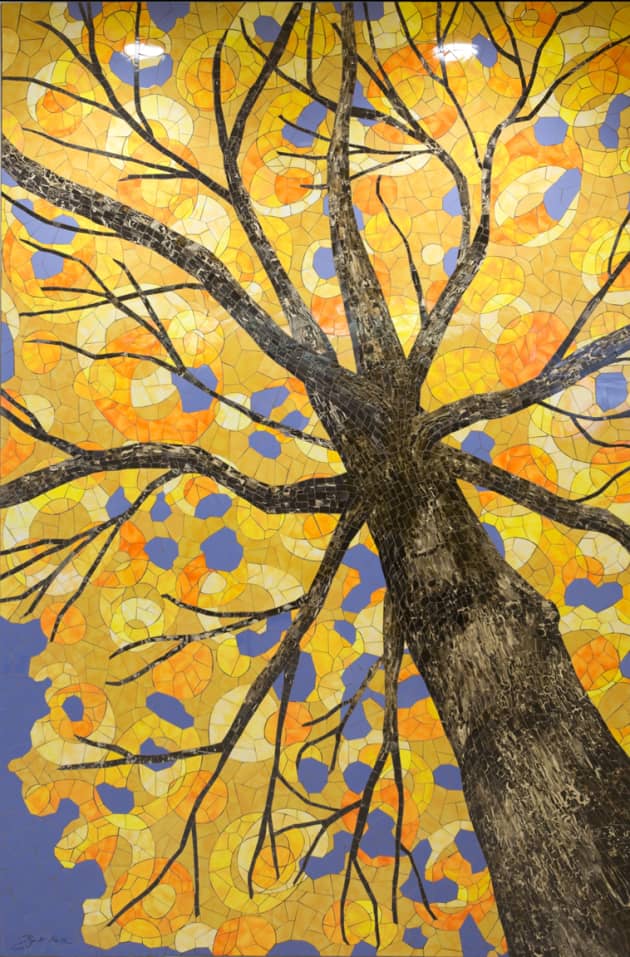 Seasons of Change