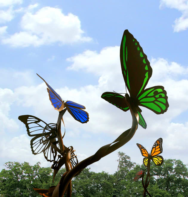 Metamorphosis