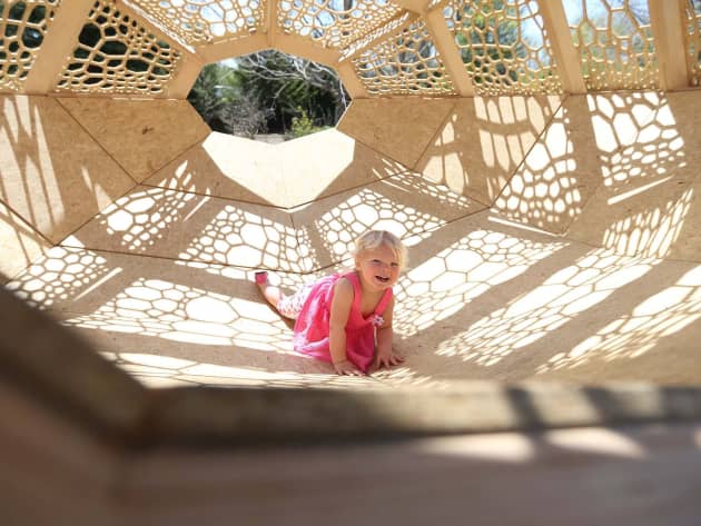 Photonic TREEpod