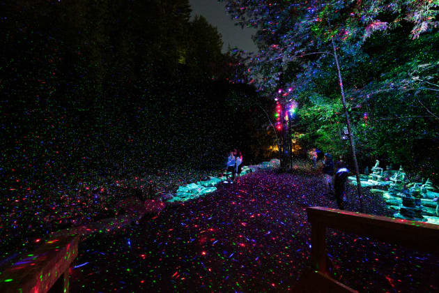 Foresta Lumina