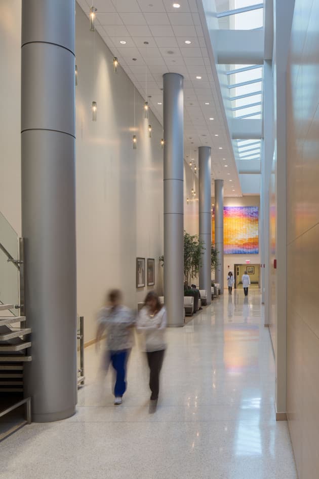 Large Wall Sculpture for Hospital