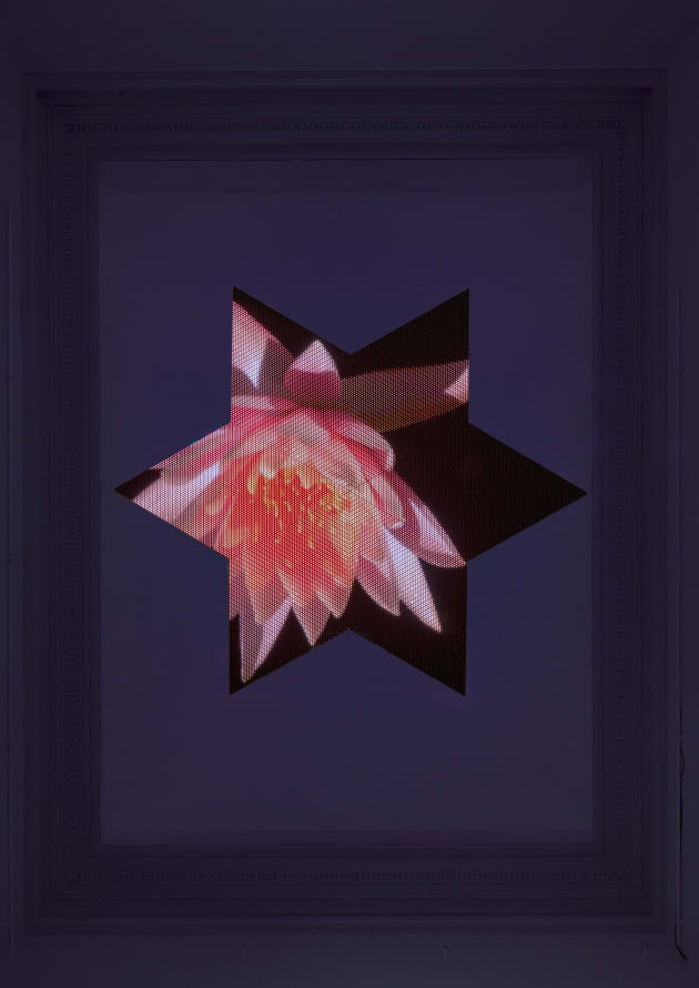 Nova