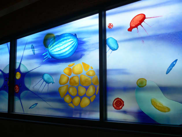 Brightwater Environmental Education Center