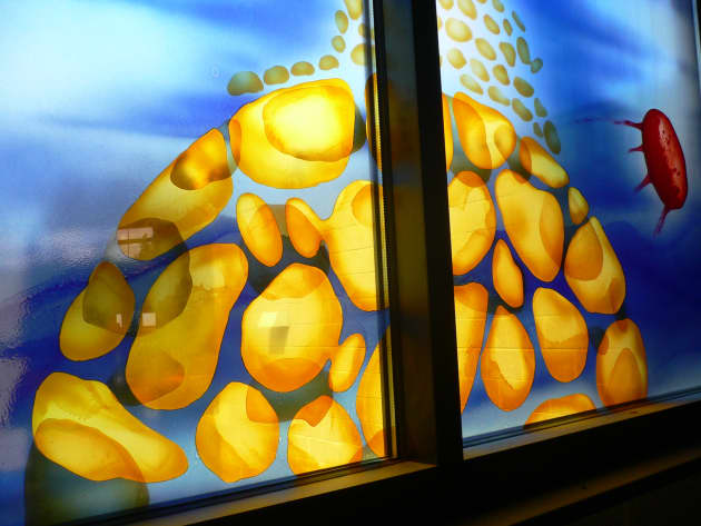 Brightwater Environmental Education Center