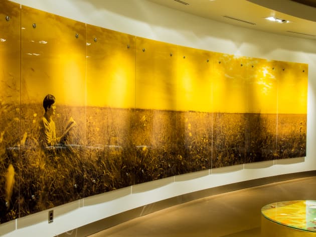 Rotunda Gallery