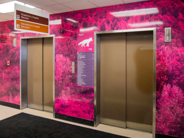 Elevator Lobby Artwork
