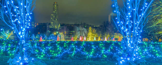 Winter Light Garden