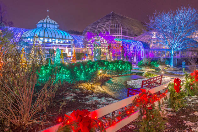 Winter Light Garden