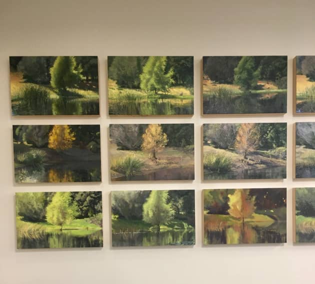 The Pond Series