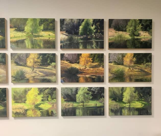 The Pond Series