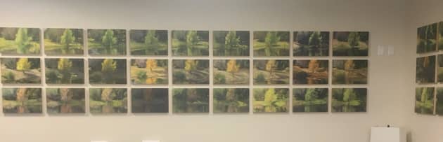 The Pond Series