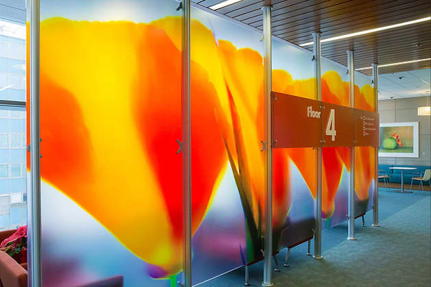 Kaiser Redwood City Medical Center: Phase 1 Lobby Dividers