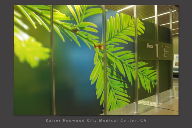 Kaiser Redwood City Medical Center: Phase 1 Lobby Dividers
