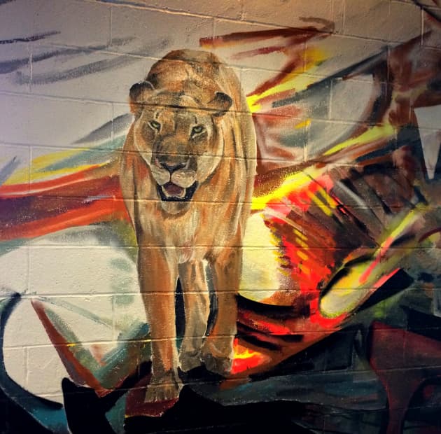 Lion Pride