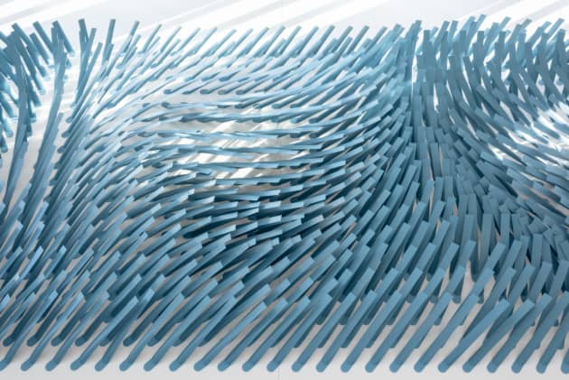 Field Lines