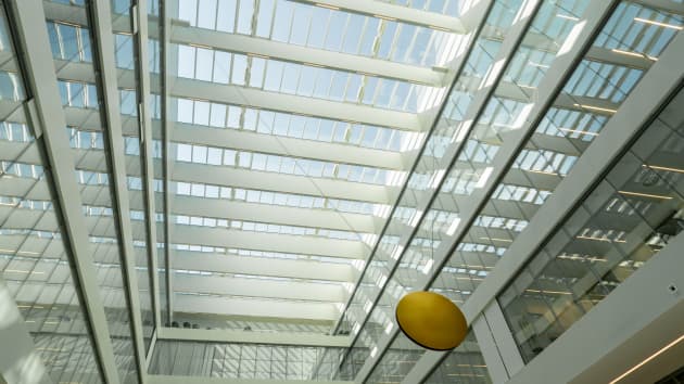 Raphael’s Pendulum