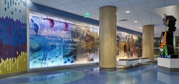 Florida Eco-Stories