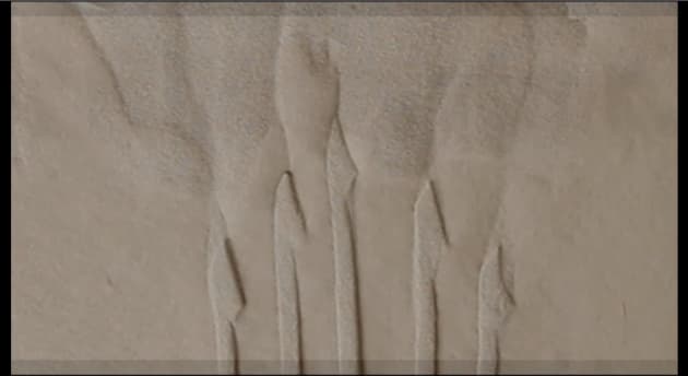 Sand Calligraphy