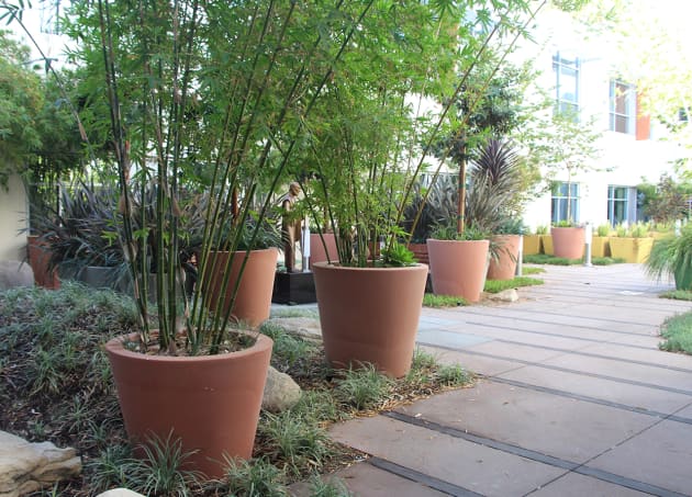 St. Jude in Healing Garden, St. Jude Medical Center