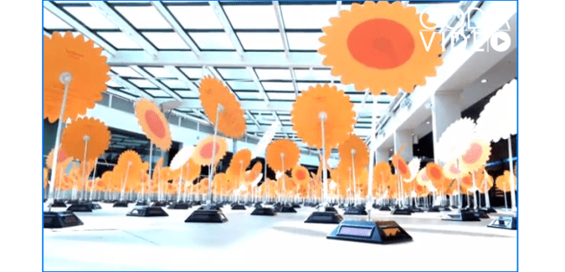 Turning Solar Flowers