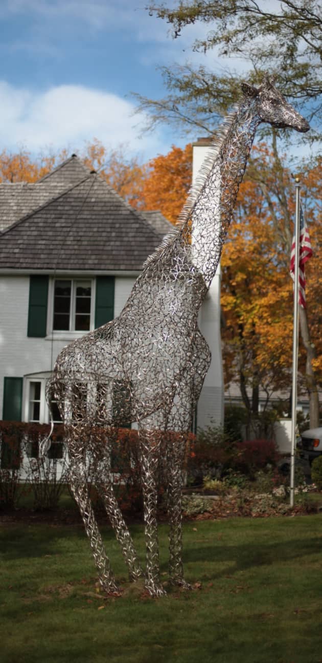 The Giraffe Project