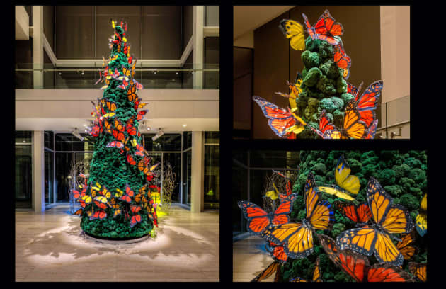 Unique Holiday Expressions
