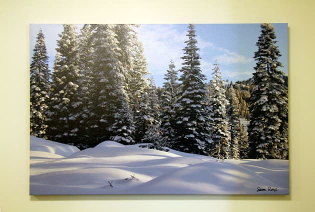 Kaiser Permanente Photography Installation