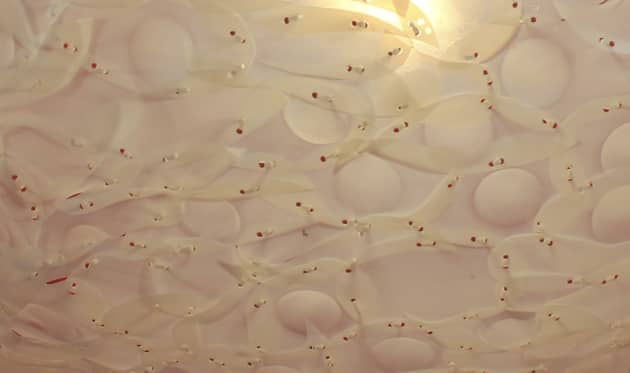 Environmental Office Light fixtures