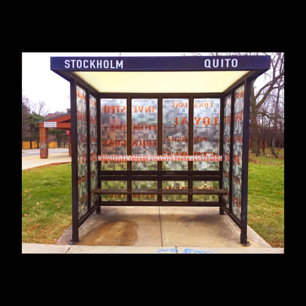 Shelter Here