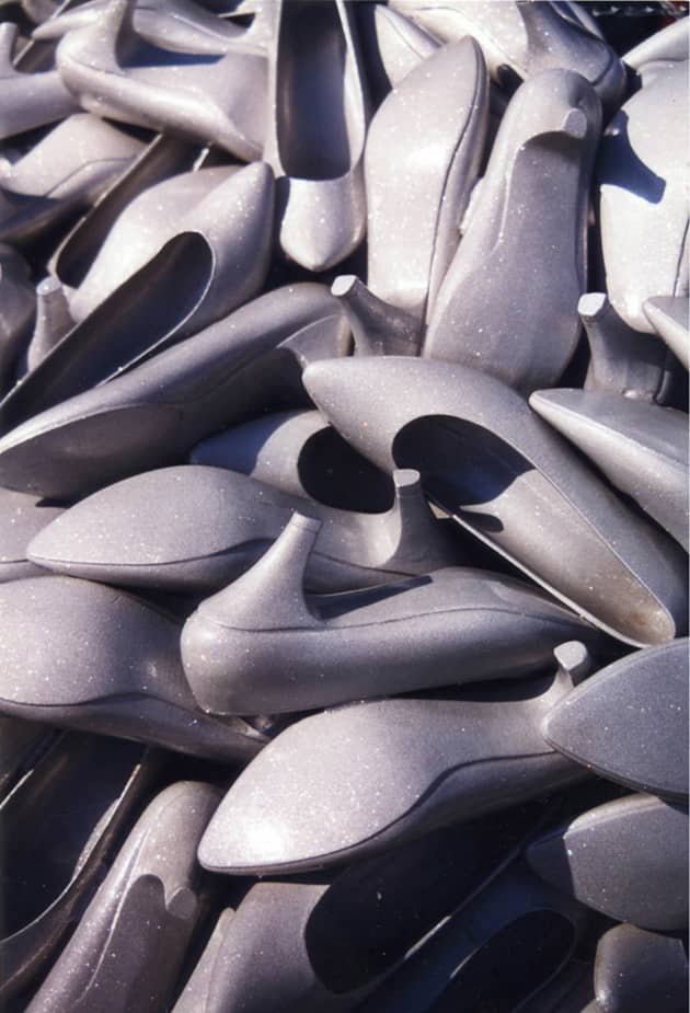 Shoe of Shoes