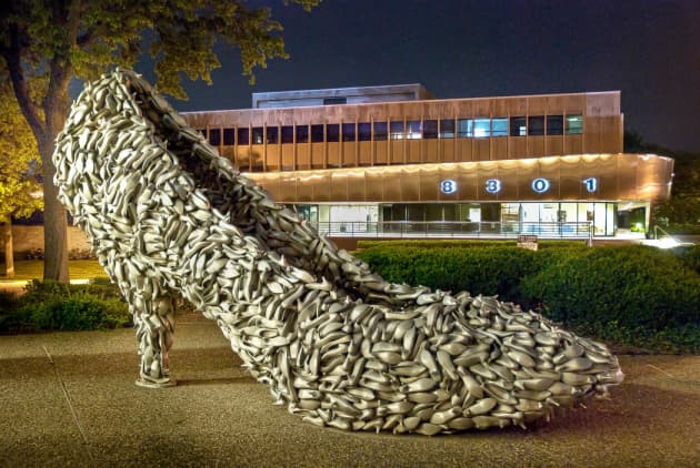 Shoe of Shoes