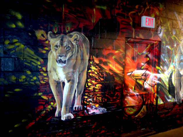 Lion Pride