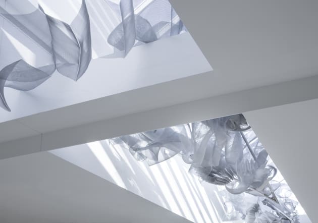 Morphodynamique