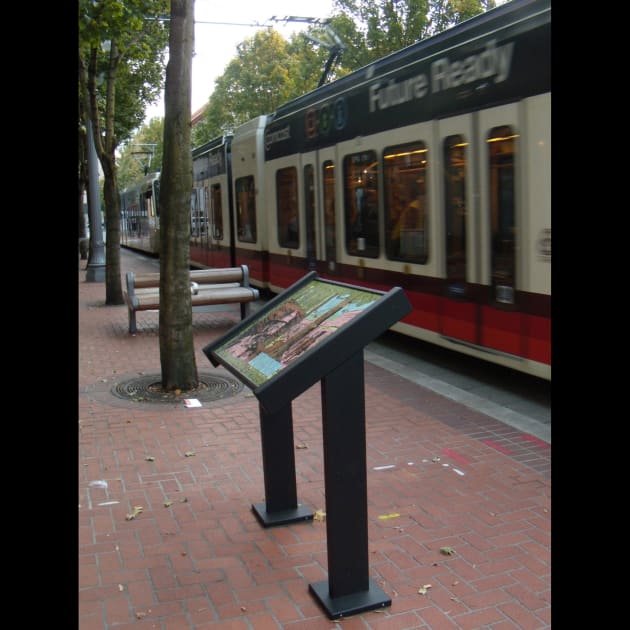 The Legend of the Green Man of Portland